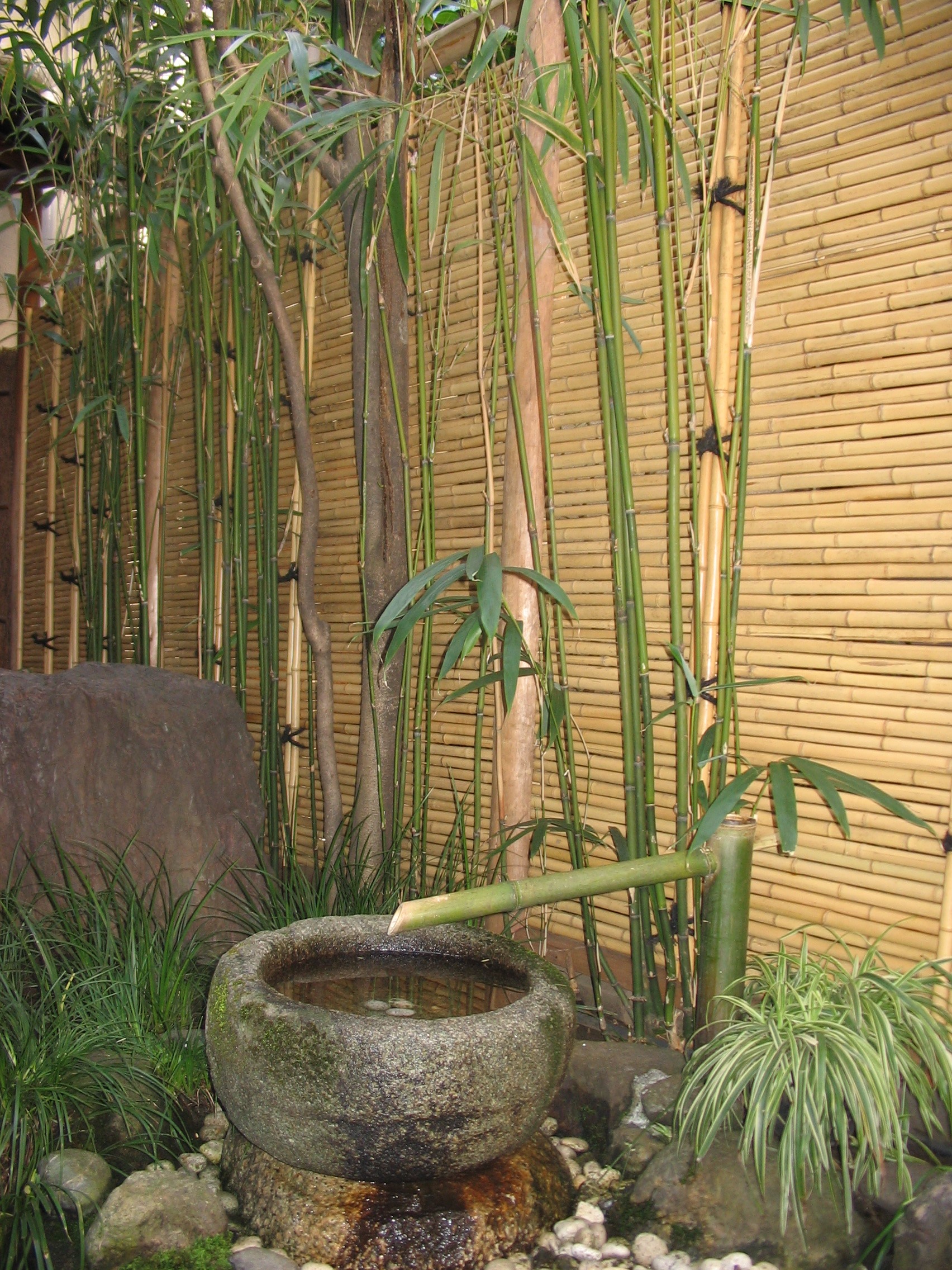 dott.ssa maria paola bordignon-giappone